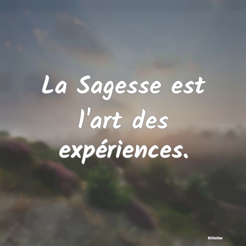 Belle Citation - La Sagesse est l'art des expériences. - 