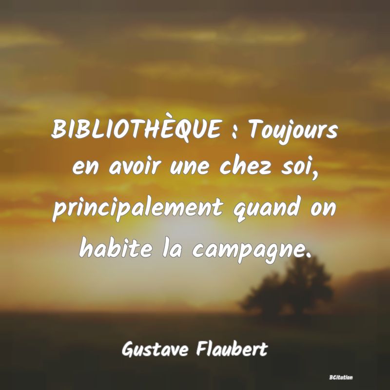 Belle Citation - BIBLIOTHÈQUE : Toujours en avoir une chez soi, principalement quand on habite la campagne. - Gustave Flaubert