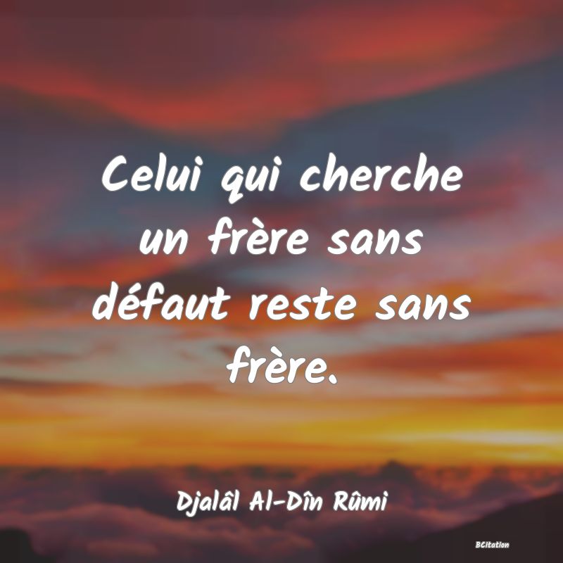 image de citation: Celui qui cherche un frère sans défaut reste sans frère.