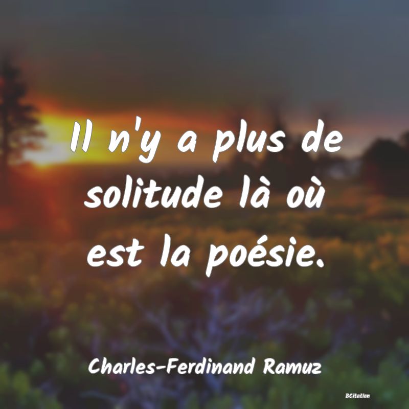 image de citation: Il n'y a plus de solitude là où est la poésie.