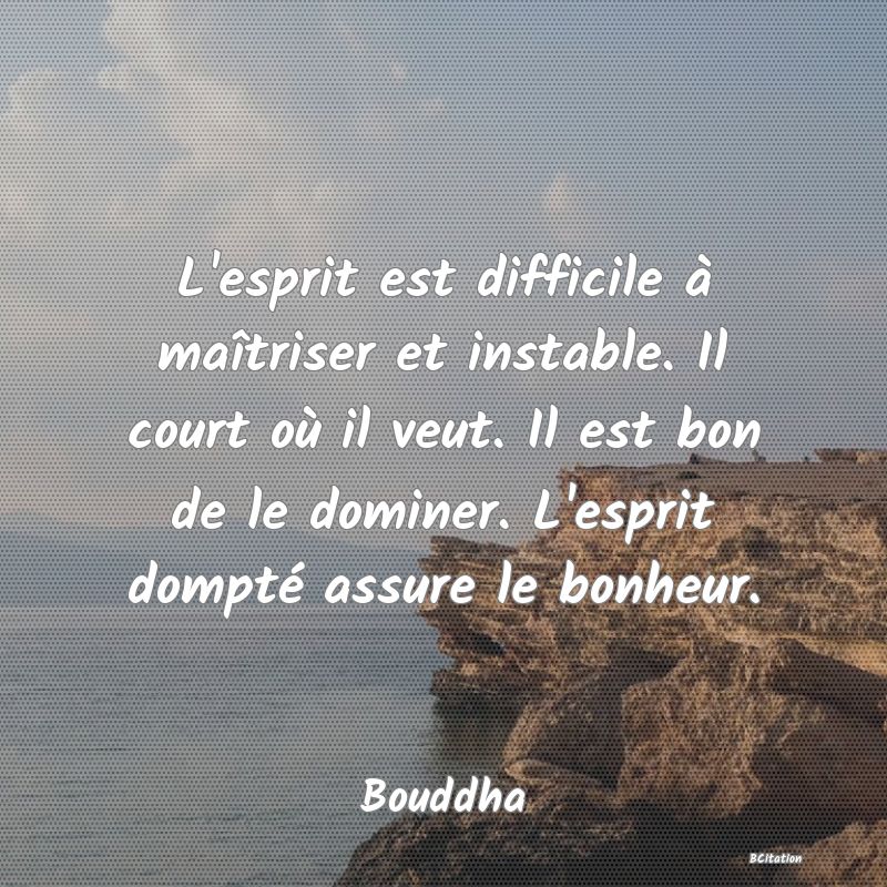 image de citation: L'esprit est difficile à maîtriser et instable. Il court où il veut. Il est bon de le dominer. L'esprit dompté assure le bonheur.