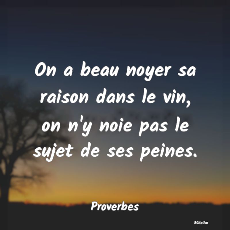 image de citation: On a beau noyer sa raison dans le vin, on n'y noie pas le sujet de ses peines.