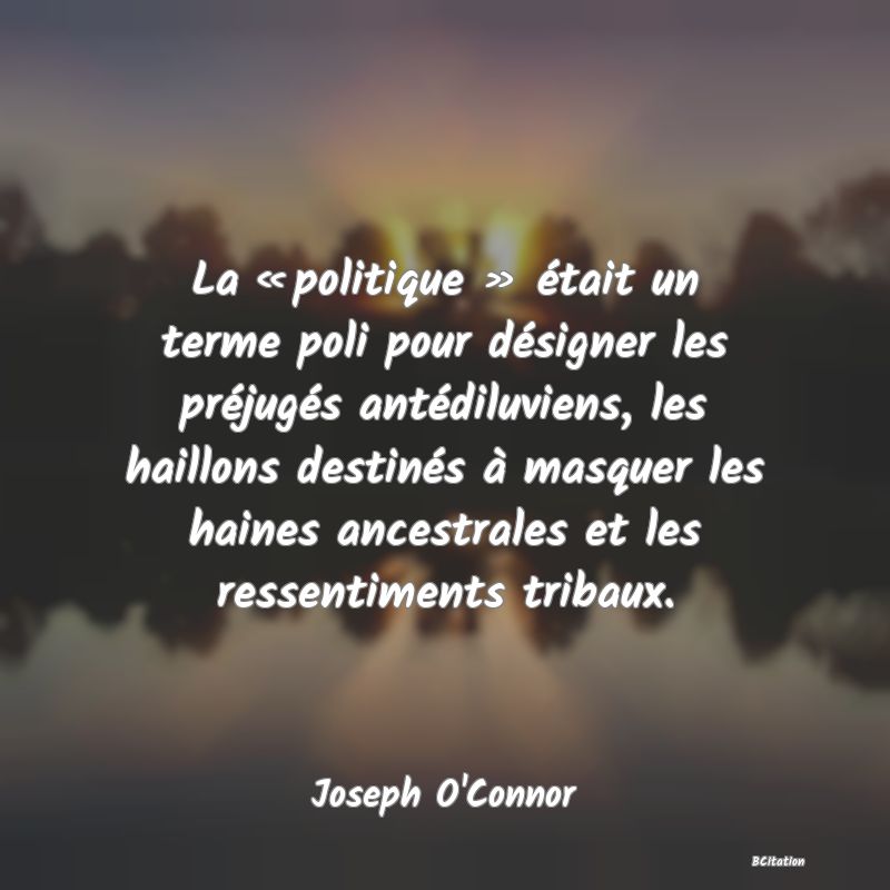 image de citation: La « politique » était un terme poli pour désigner les préjugés antédiluviens, les haillons destinés à masquer les haines ancestrales et les ressentiments tribaux.