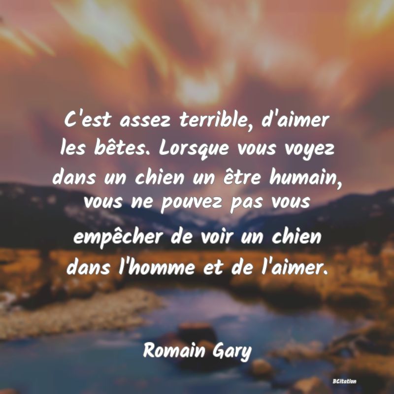 image de citation: C'est assez terrible, d'aimer les bêtes. Lorsque vous voyez dans un chien un être humain, vous ne pouvez pas vous empêcher de voir un chien dans l'homme et de l'aimer.