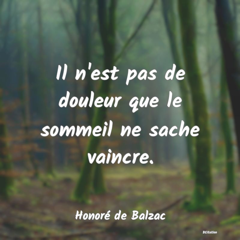 image de citation: Il n'est pas de douleur que le sommeil ne sache vaincre.