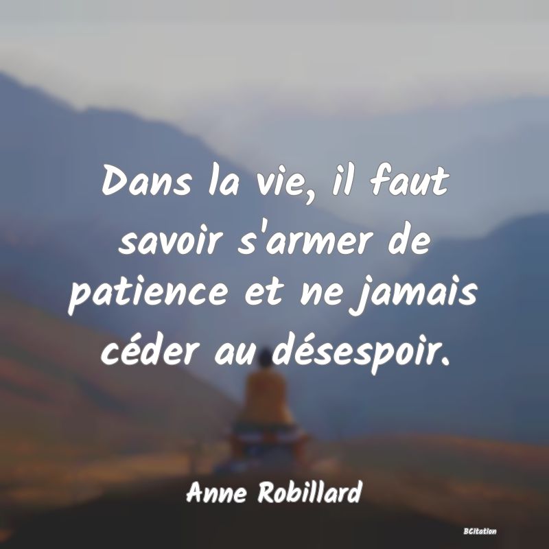 image de citation: Dans la vie, il faut savoir s'armer de patience et ne jamais céder au désespoir.