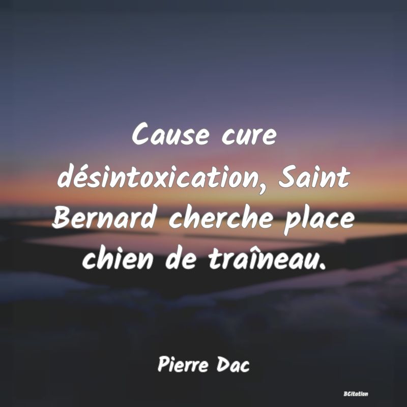 image de citation: Cause cure désintoxication, Saint Bernard cherche place chien de traîneau.