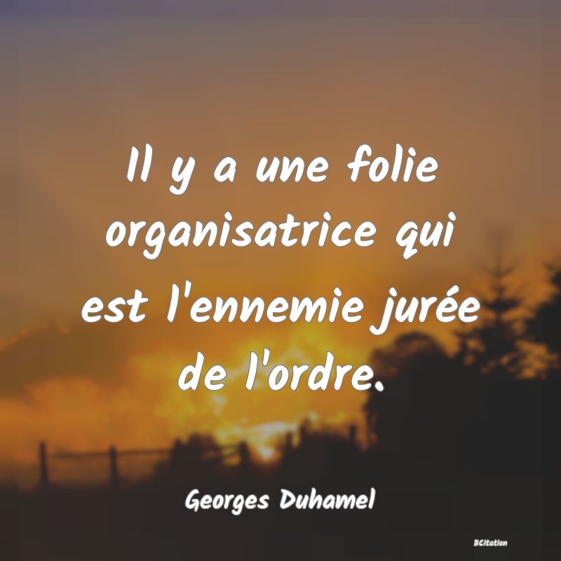 image de citation: Il y a une folie organisatrice qui est l'ennemie jurée de l'ordre.