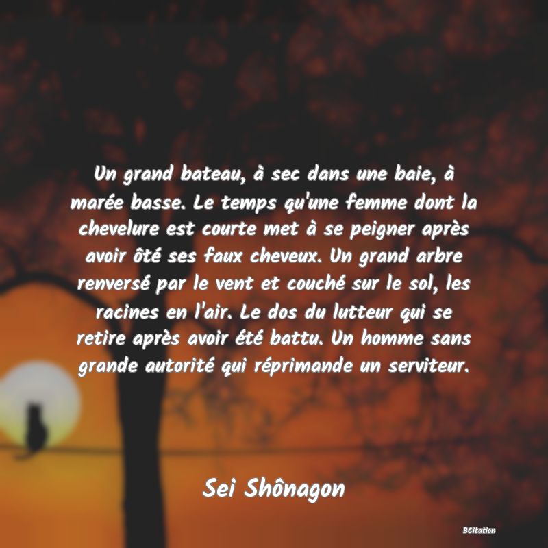 image de citation: Un grand bateau, à sec dans une baie, à marée basse. Le temps qu'une femme dont la chevelure est courte met à se peigner après avoir ôté ses faux cheveux. Un grand arbre renversé par le vent et couché sur le sol, les racines en l'air. Le dos du lutteur qui se retire après avoir été battu. Un homme sans grande autorité qui réprimande un serviteur.