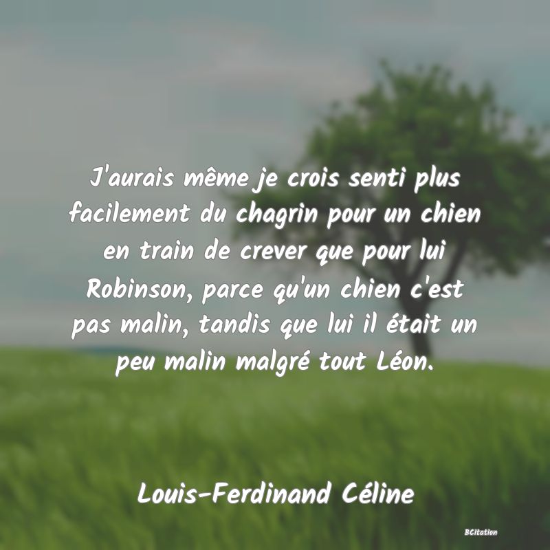 image de citation: J'aurais même je crois senti plus facilement du chagrin pour un chien en train de crever que pour lui Robinson, parce qu'un chien c'est pas malin, tandis que lui il était un peu malin malgré tout Léon.