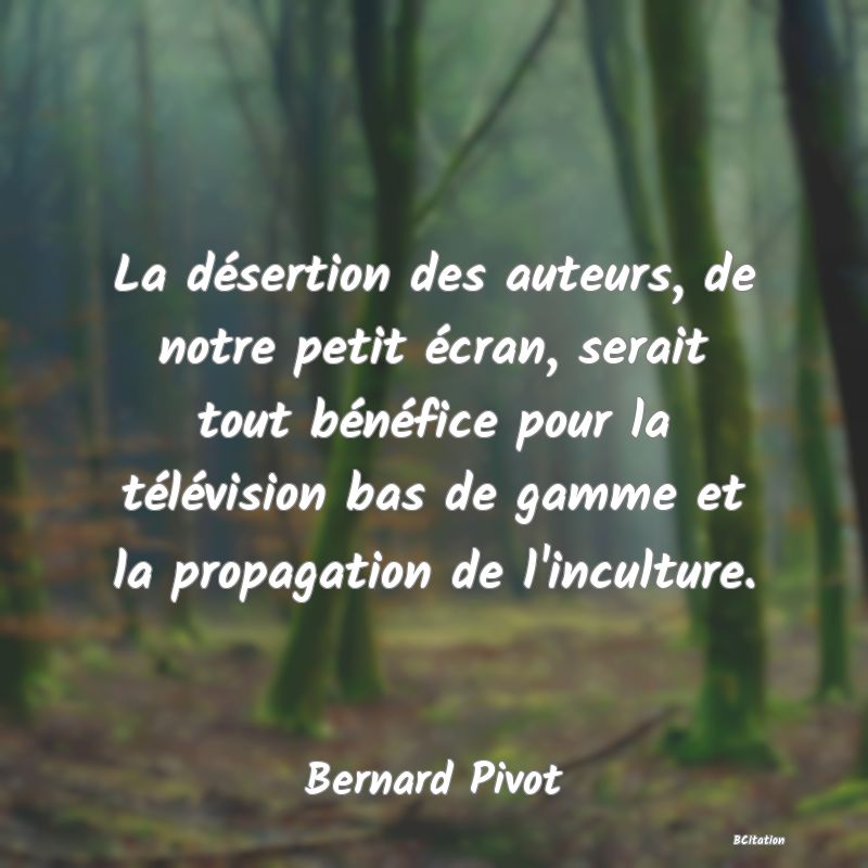 image de citation: La désertion des auteurs, de notre petit écran, serait tout bénéfice pour la télévision bas de gamme et la propagation de l'inculture.