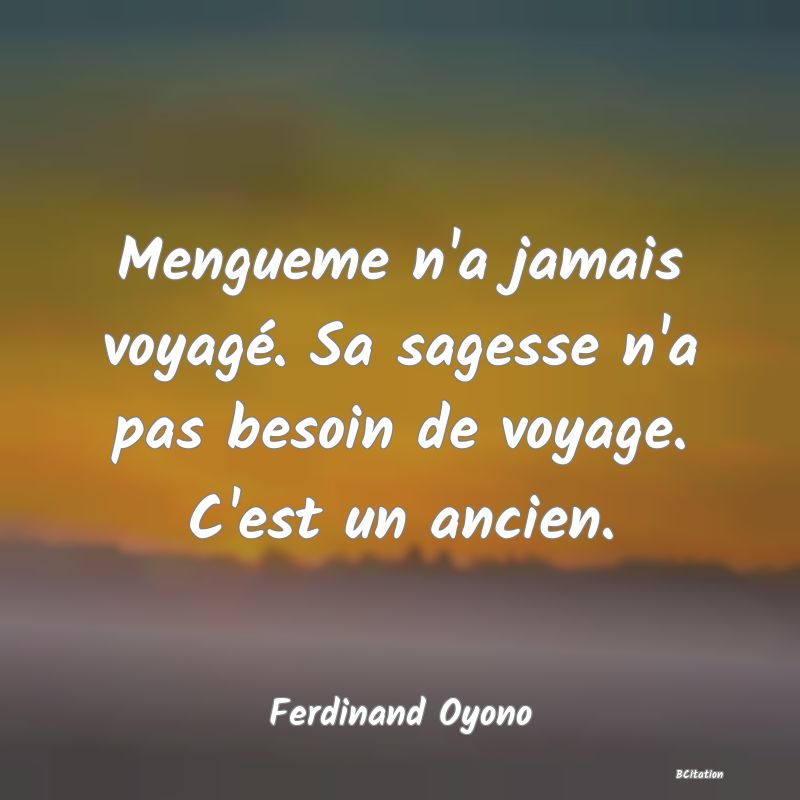 image de citation: Mengueme n'a jamais voyagé. Sa sagesse n'a pas besoin de voyage. C'est un ancien.