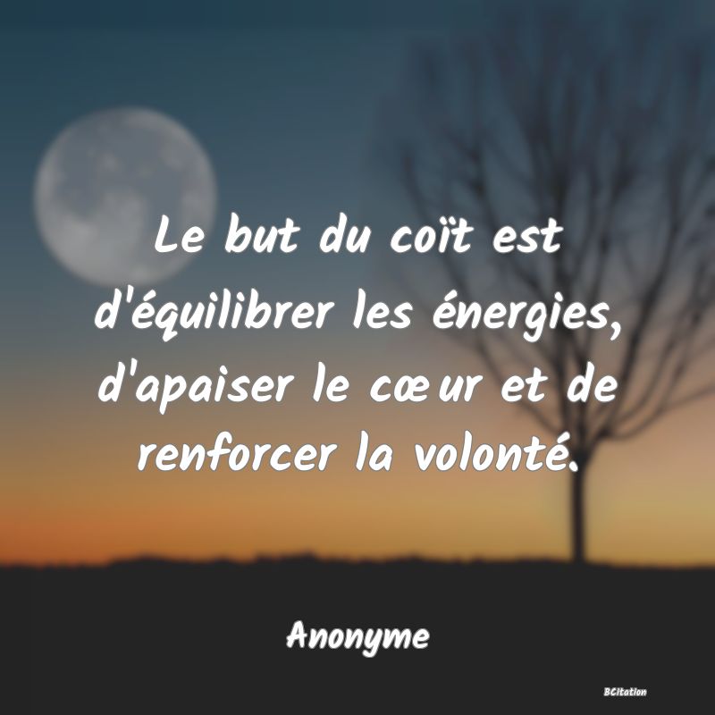 image de citation: Le but du coït est d'équilibrer les énergies, d'apaiser le cœur et de renforcer la volonté.