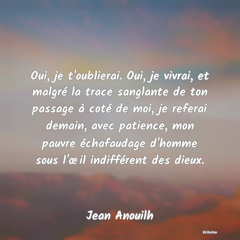 Belle Citation - Oui, je t'oublierai. Oui, je vivrai, et malgré la trace sanglante de ton passage à coté de moi, je referai demain, avec patience, mon pauvre échafaudage d'homme sous l'œil indifférent des dieux. - Jean Anouilh