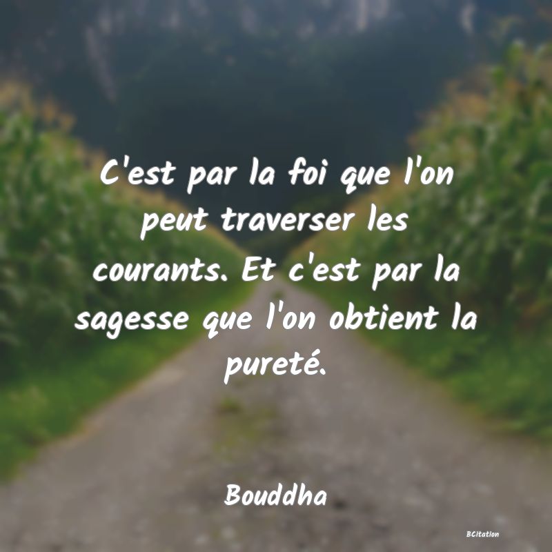 image de citation: C'est par la foi que l'on peut traverser les courants. Et c'est par la sagesse que l'on obtient la pureté.