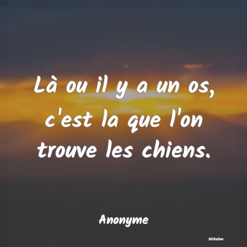 image de citation: Là ou il y a un os, c'est la que l'on trouve les chiens.