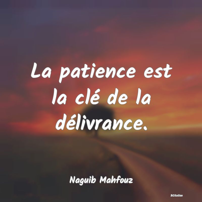 image de citation: La patience est la clé de la délivrance.
