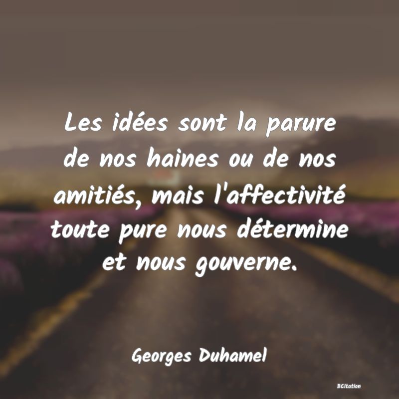 image de citation: Les idées sont la parure de nos haines ou de nos amitiés, mais l'affectivité toute pure nous détermine et nous gouverne.