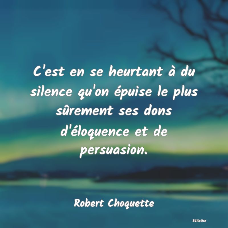 image de citation: C'est en se heurtant à du silence qu'on épuise le plus sûrement ses dons d'éloquence et de persuasion.