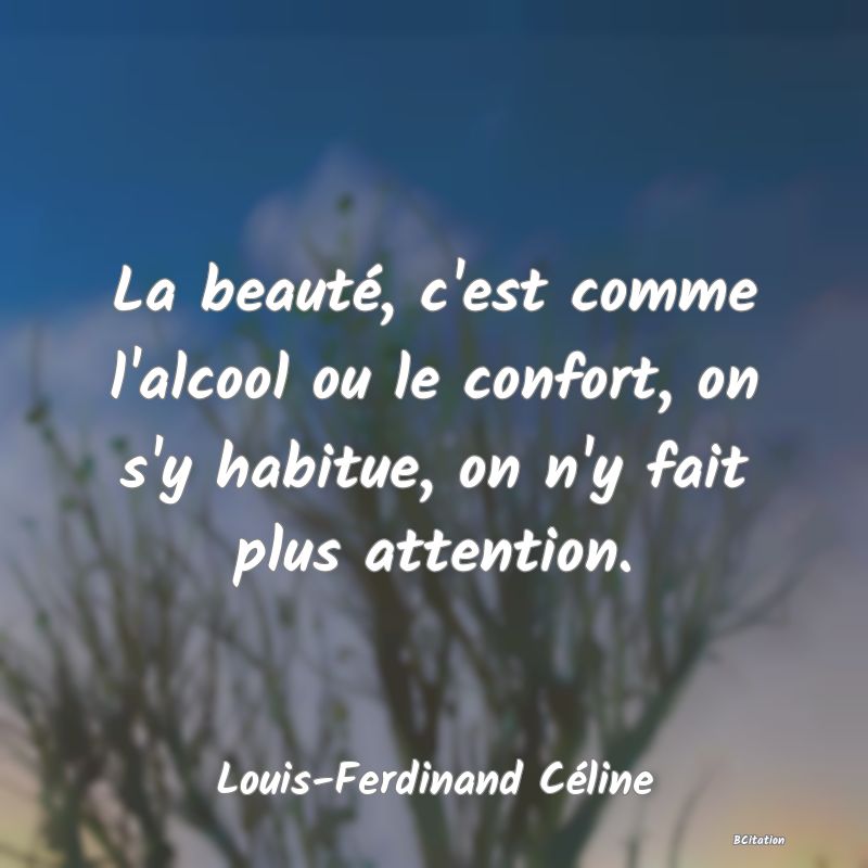 image de citation: La beauté, c'est comme l'alcool ou le confort, on s'y habitue, on n'y fait plus attention.