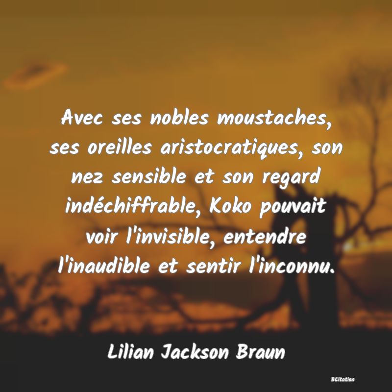 image de citation: Avec ses nobles moustaches, ses oreilles aristocratiques, son nez sensible et son regard indéchiffrable, Koko pouvait voir l'invisible, entendre l'inaudible et sentir l'inconnu.