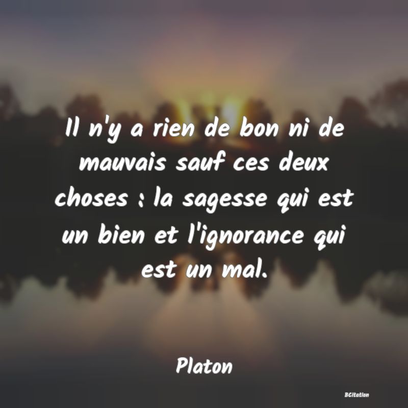 image de citation: Il n'y a rien de bon ni de mauvais sauf ces deux choses : la sagesse qui est un bien et l'ignorance qui est un mal.