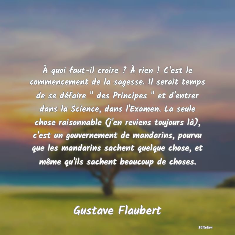 Belle Citation - À quoi faut-il croire ? À rien ! C'est le commencement de la sagesse. Il serait temps de se défaire 