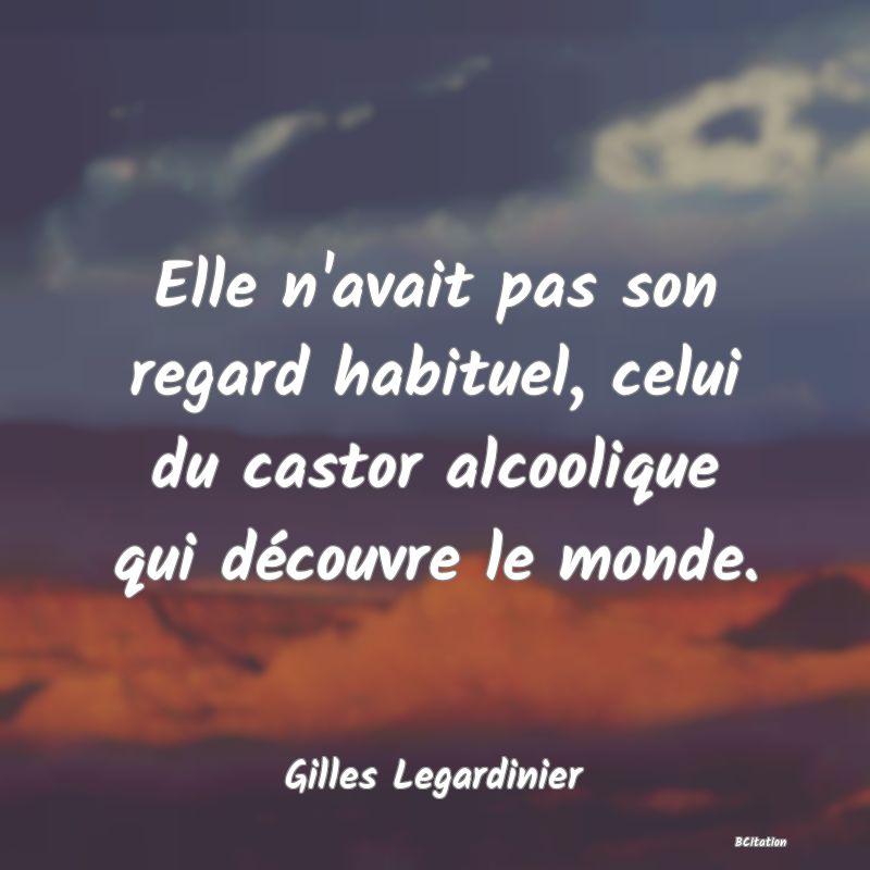 image de citation: Elle n'avait pas son regard habituel, celui du castor alcoolique qui découvre le monde.