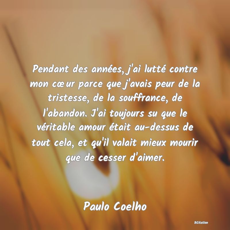 image de citation: Pendant des années, j'ai lutté contre mon cœur parce que j'avais peur de la tristesse, de la souffrance, de l'abandon. J'ai toujours su que le véritable amour était au-dessus de tout cela, et qu'il valait mieux mourir que de cesser d'aimer.