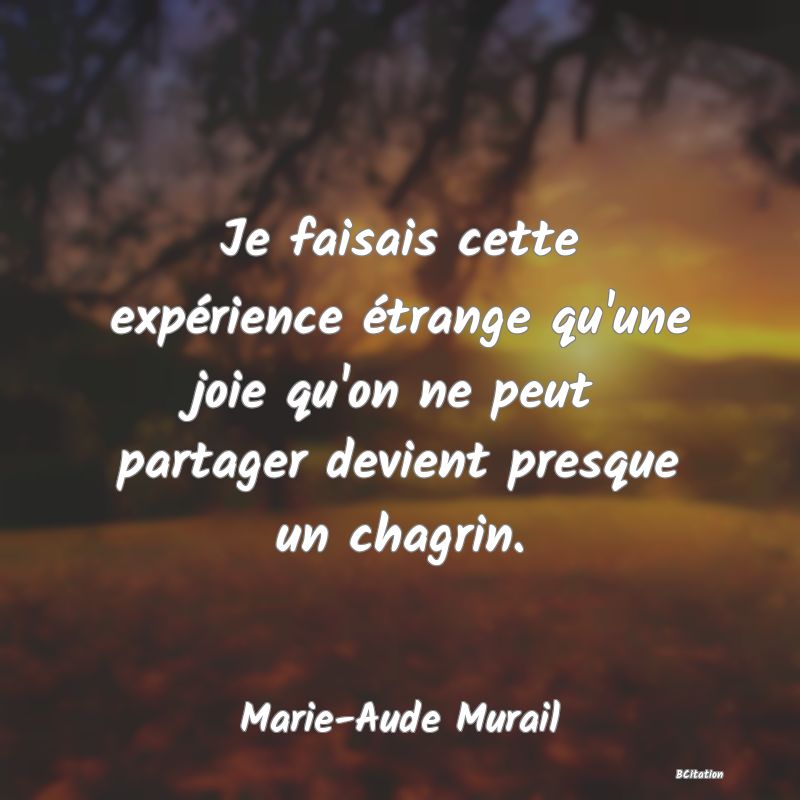 image de citation: Je faisais cette expérience étrange qu'une joie qu'on ne peut partager devient presque un chagrin.