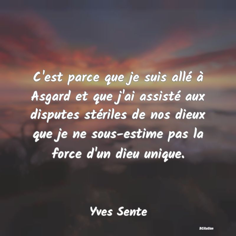 image de citation: C'est parce que je suis allé à Asgard et que j'ai assisté aux disputes stériles de nos dieux que je ne sous-estime pas la force d'un dieu unique.