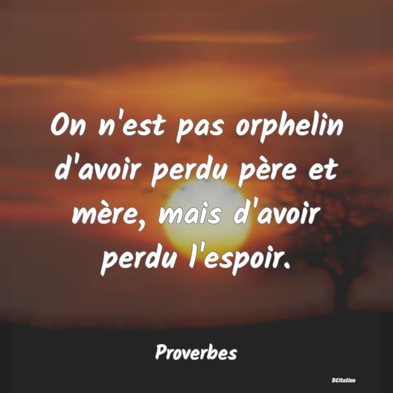 Belle Citation - On n'est pas orphelin d'avoir perdu père et mère, mais d'avoir perdu l'espoir. - Proverbes