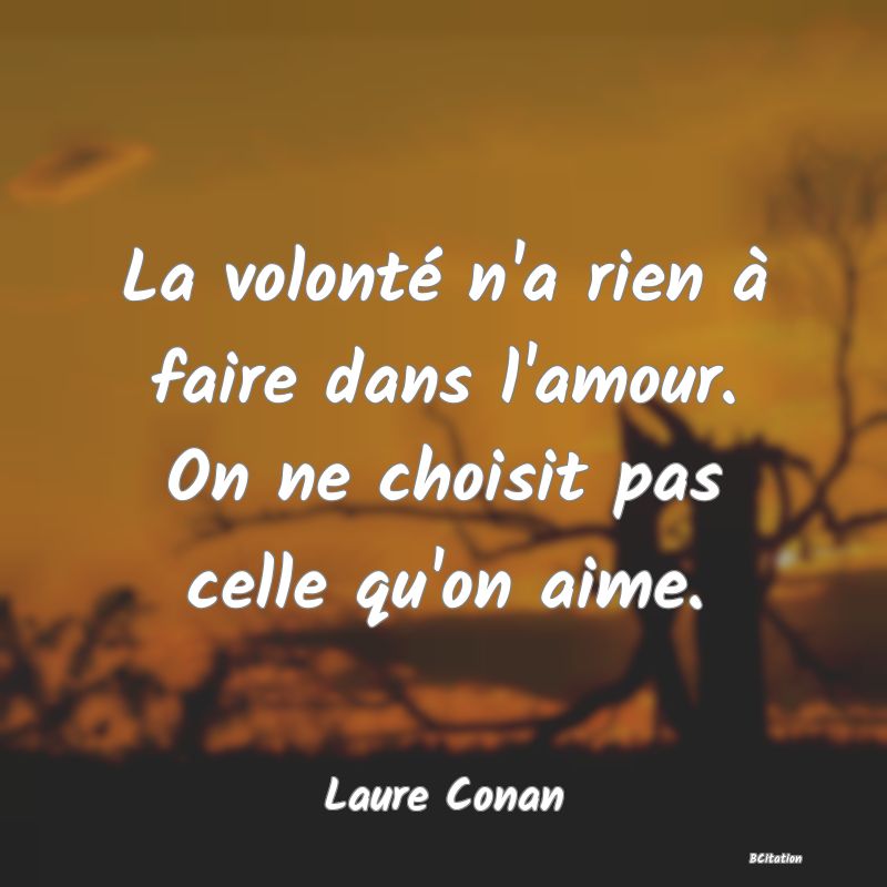 image de citation: La volonté n'a rien à faire dans l'amour. On ne choisit pas celle qu'on aime.