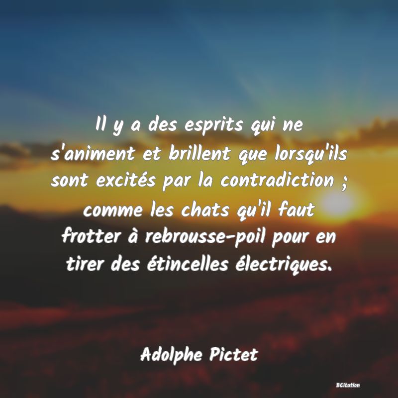 image de citation: Il y a des esprits qui ne s'animent et brillent que lorsqu'ils sont excités par la contradiction ; comme les chats qu'il faut frotter à rebrousse-poil pour en tirer des étincelles électriques.