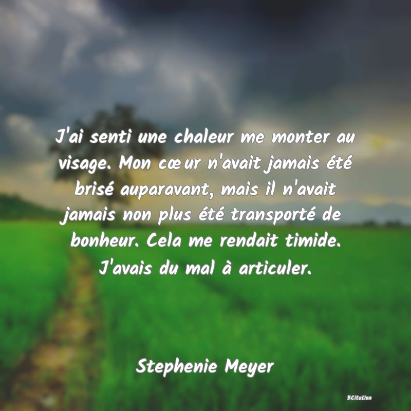 image de citation: J'ai senti une chaleur me monter au visage. Mon cœur n'avait jamais été brisé auparavant, mais il n'avait jamais non plus été transporté de bonheur. Cela me rendait timide. J'avais du mal à articuler.