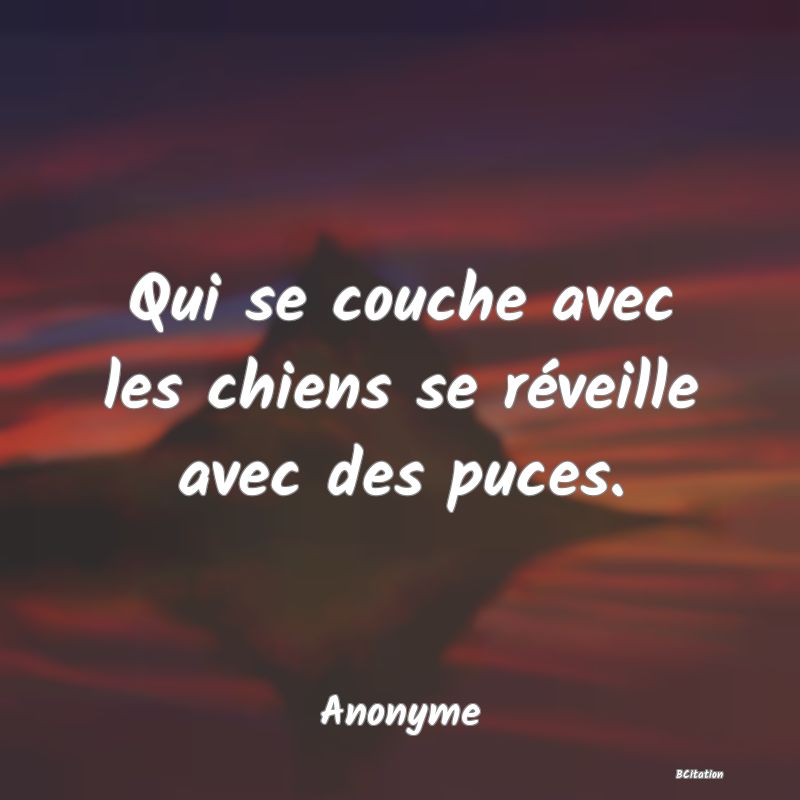 Belle Citation - Qui se couche avec les chiens se réveille avec des puces. - Anonyme