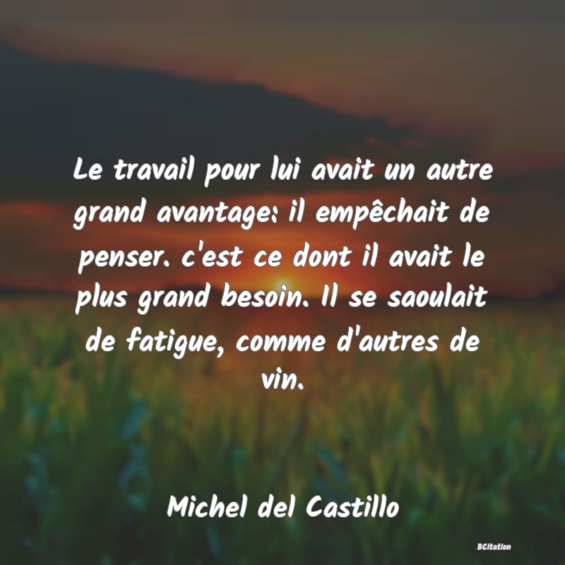 Belle Citation - Le travail pour lui avait un autre grand avantage: il empêchait de penser. c'est ce dont il avait le plus grand besoin. Il se saoulait de fatigue, comme d'autres de vin. - Michel del Castillo