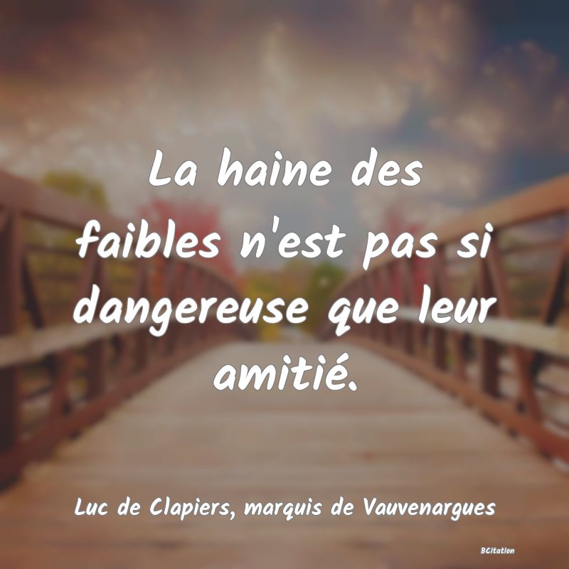 image de citation: La haine des faibles n'est pas si dangereuse que leur amitié.