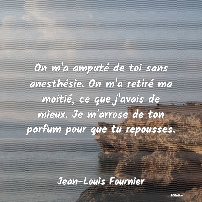 image de citation: On m'a amputé de toi sans anesthésie. On m'a retiré ma moitié, ce que j'avais de mieux. Je m'arrose de ton parfum pour que tu repousses.