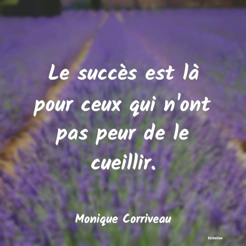 image de citation: Le succès est là pour ceux qui n'ont pas peur de le cueillir.