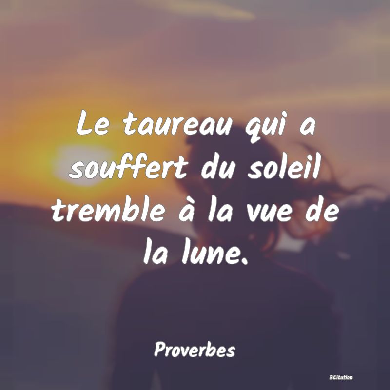 image de citation: Le taureau qui a souffert du soleil tremble à la vue de la lune.