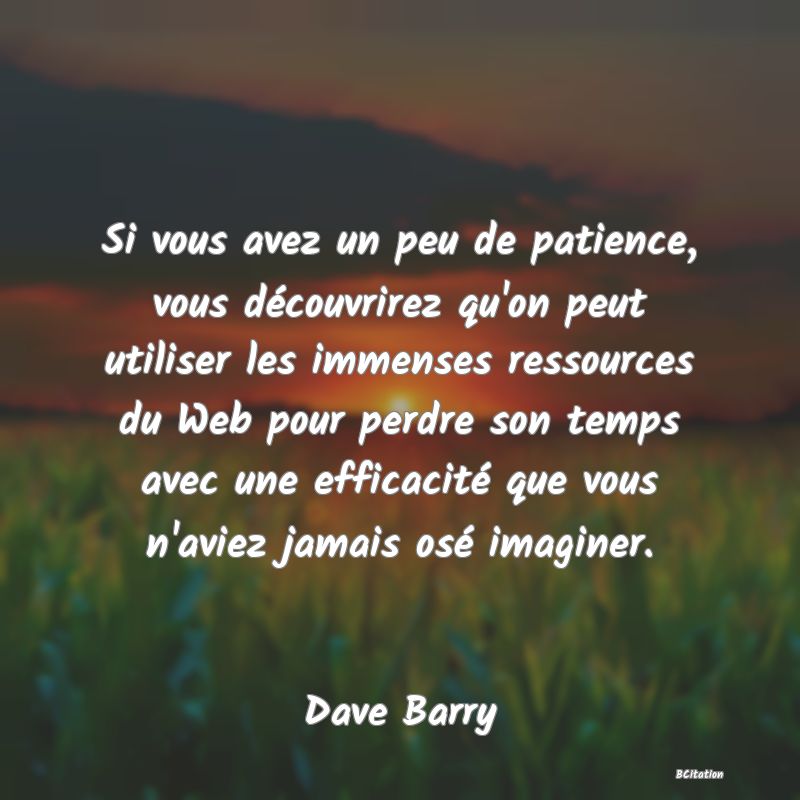 image de citation: Si vous avez un peu de patience, vous découvrirez qu'on peut utiliser les immenses ressources du Web pour perdre son temps avec une efficacité que vous n'aviez jamais osé imaginer.