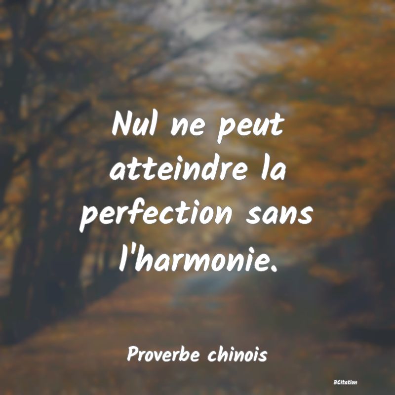 image de citation: Nul ne peut atteindre la perfection sans l'harmonie.