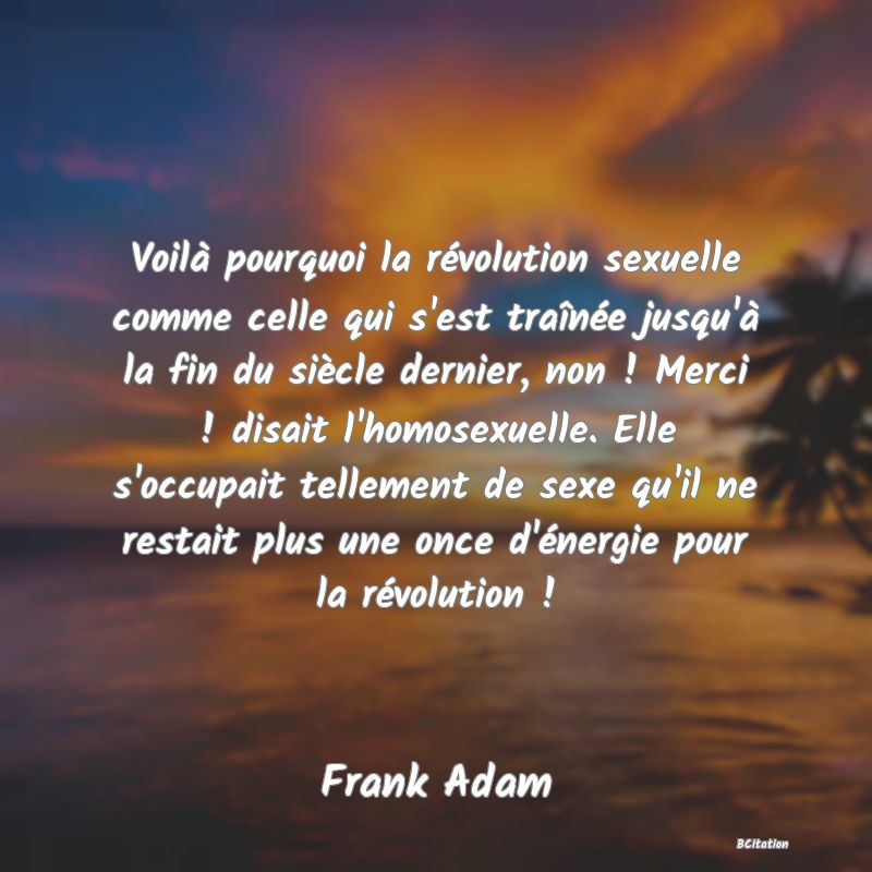 Belle Citation - Voilà pourquoi la révolution sexuelle comme celle qui s'est traînée jusqu'à la fin du siècle dernier, non ! Merci ! disait l'homosexuelle. Elle s'occupait tellement de sexe qu'il ne restait plus une once d'énergie pour la révolution ! - Frank Adam