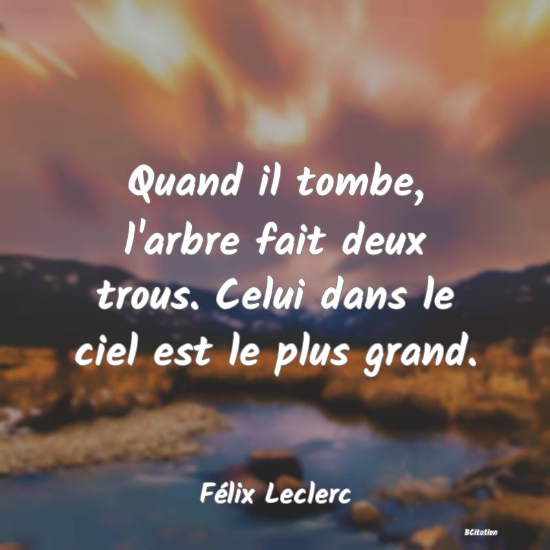 image de citation: Quand il tombe, l'arbre fait deux trous. Celui dans le ciel est le plus grand.