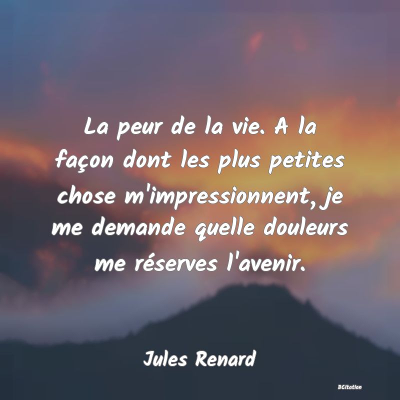 image de citation: La peur de la vie. A la façon dont les plus petites chose m'impressionnent, je me demande quelle douleurs me réserves l'avenir.