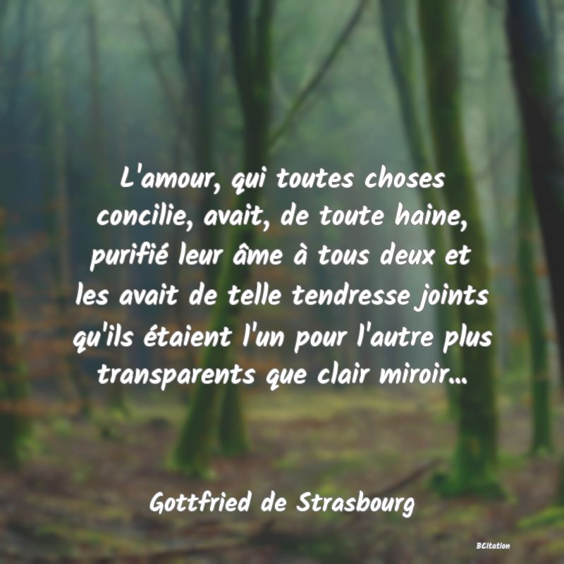 image de citation: L'amour, qui toutes choses concilie, avait, de toute haine, purifié leur âme à tous deux et les avait de telle tendresse joints qu'ils étaient l'un pour l'autre plus transparents que clair miroir...