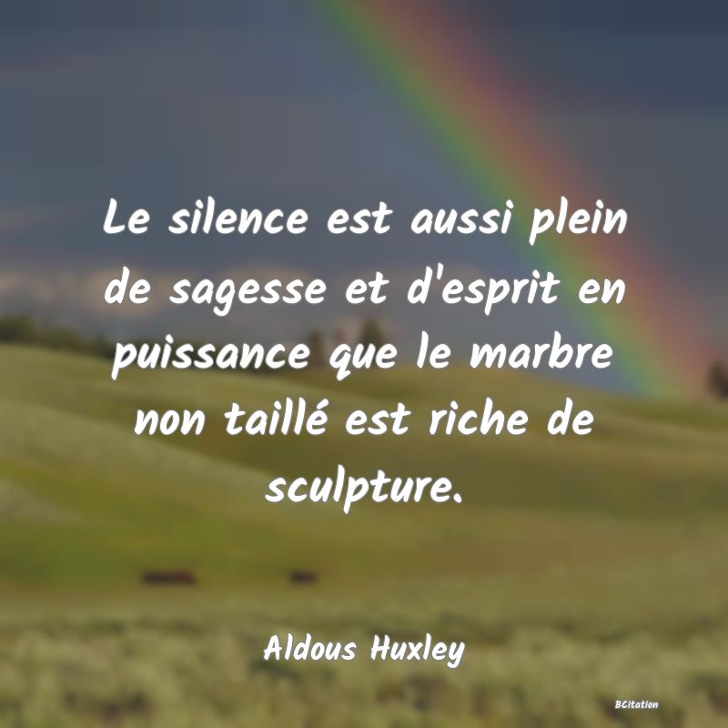 image de citation: Le silence est aussi plein de sagesse et d'esprit en puissance que le marbre non taillé est riche de sculpture.