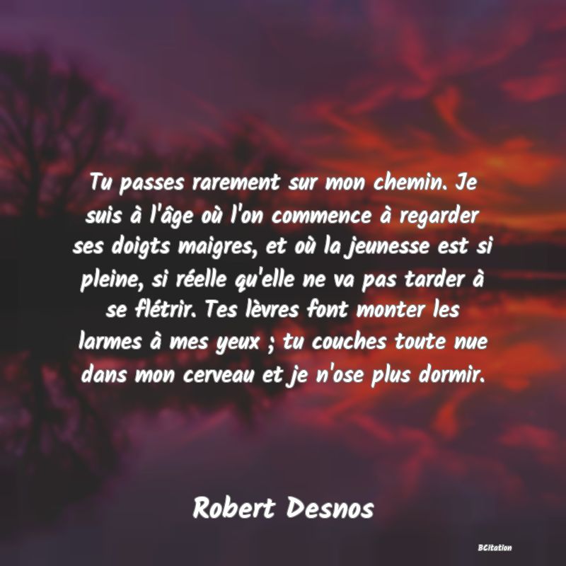 Belle Citation - Tu passes rarement sur mon chemin. Je suis à l'âge où l'on commence à regarder ses doigts maigres, et où la jeunesse est si pleine, si réelle qu'elle ne va pas tarder à se flétrir. Tes lèvres font monter les larmes à mes yeux ; tu couches toute nue dans mon cerveau et je n'ose plus dormir. - Robert Desnos