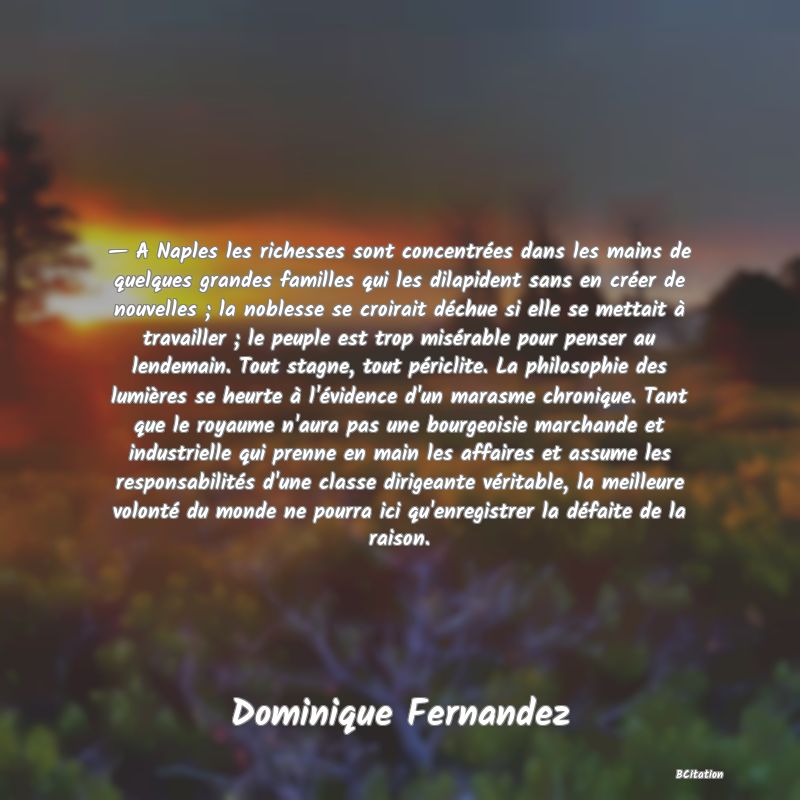 image de citation: — A Naples les richesses sont concentrées dans les mains de quelques grandes familles qui les dilapident sans en créer de nouvelles ; la noblesse se croirait déchue si elle se mettait à travailler ; le peuple est trop misérable pour penser au lendemain. Tout stagne, tout périclite. La philosophie des lumières se heurte à l'évidence d'un marasme chronique. Tant que le royaume n'aura pas une bourgeoisie marchande et industrielle qui prenne en main les affaires et assume les responsabilités d'une classe dirigeante véritable, la meilleure volonté du monde ne pourra ici qu'enregistrer la défaite de la raison.